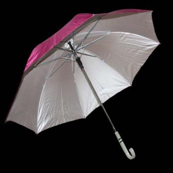 Bayan Ebruli Şemsiye