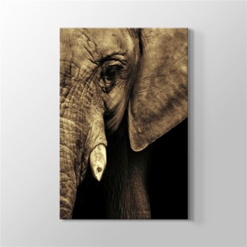 Elephant Kanvas Tablo