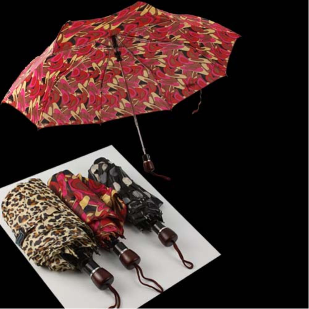Bayan  Ebruli Şemsiye