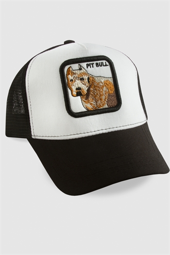 Pitpull Köpek İşlemeli Kasketli Şapka